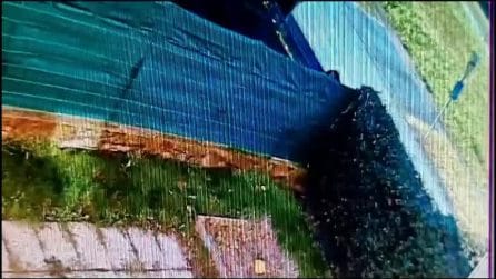 Vanessa, il video dell'arrivo di Bujar nella abitazione della 26enne prima dell'omicidio