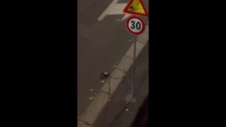 Il video del cavo teso in mezzo alla strada a Milano: "Era una trappola per far cadere i motorini"