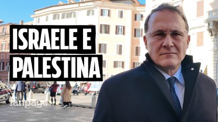 Cirielli, vice di Tajani: "28mila morti? A Gaza in 2 milioni in poco spazio"