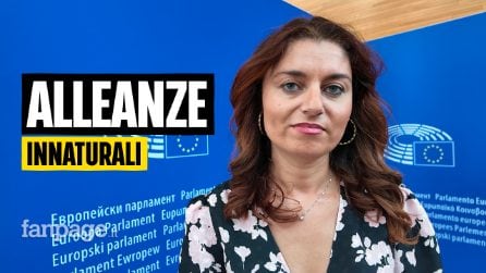 Ceccardi a Fanpage: "Alleanza che sostiene von der Leyen è innaturale, Popolari tornino a destra"