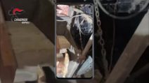 La banda del buco era pronta a colpire: tunnel sotto la banca a Castellammare