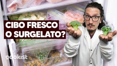 CIBO FRESCO VS SURGELATO: quale bisogna scegliere? 🤔