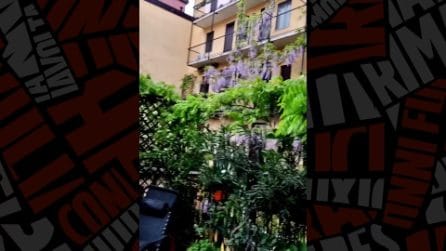 Temporali e vento in Lombardia: 500 interventi dei pompieri, chiudono i parchi a Milano e Bergamo