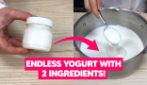 ENDLESS HOMEMADE YOGURT: you'll only need 2 INGREDIENTS