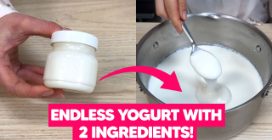 ENDLESS HOMEMADE YOGURT: you'll only need 2 INGREDIENTS