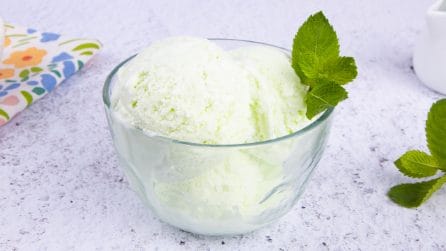 GELATO ALLA MENTA: fresco dal gusto delicato!