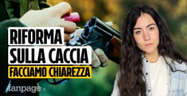 RIFORMA SULLA CACCIA: FACCIAMO CHIAREZZA