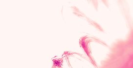 Pioggia coronale sul Sole filmata a una qualità senza precedenti: le immagini