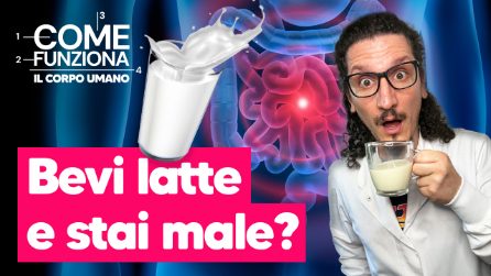 Perché il latte ti fa male? I sintomi dell’intolleranza al lattosio e cosa succede nel corpo