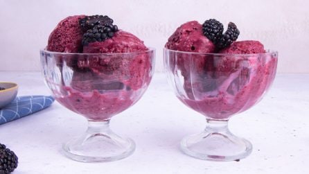BLACKBERRY ICE CREAM: delicious without an ice cream maker and with only 3 ingredients!