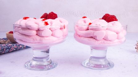 RASPBERRY MOUSSE: the perfect dessert at the end of a meal!