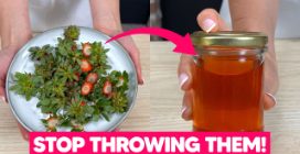 DON'T THROW STRAWBERRY TOPS AWAY ANYMORE!