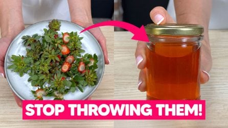 DON'T THROW STRAWBERRY TOPS AWAY ANYMORE!