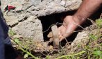 Fa un buco nell'Acquedotto Carolino e ruba l'acqua destinata alla Reggia di Caserta: 58enne arrestato