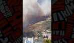 Maxi incendio a Marsiglia, le fiamme spinte dal vento arrivano in città: chiuso l'aeroporto, treni sospesi
