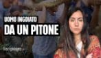 Pitone di 8 metri inghiotte un uomo: la scienza dietro l'attacco