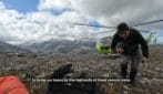 Huemul deer discovered in Chile_ in approvazione