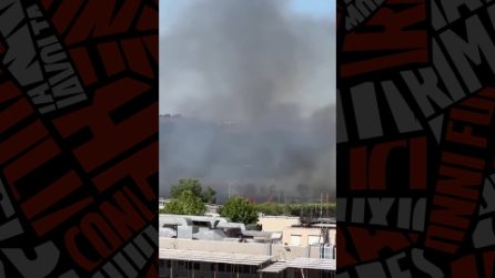 Ancora fiamme anche a Fiumicino: circolazione ferroviaria sospesa e treni in tilt per un incendio