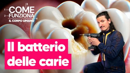 Lo zucchero fa venire le carie? Ecco cosa succede davvero ai tuoi denti