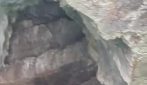 Foca monaca nel golfo di Napoli