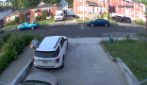 Un tacchino ha aggredito un uomo a Staten Island