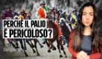 Perché il Palio di Siena esiste ancora? Come funziona e quali sono i rischi per i cavalli