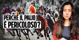 Perché il Palio di Siena esiste ancora? Come funziona e quali sono i rischi per i cavalli