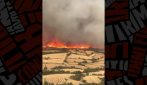 Vasto incendio in Catalogna, due morti e 20mila persone chiuse in casa: il video
