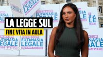Cosa prevede la nuova legge sul fine vita arrivata in Parlamento e perché fa già discutere