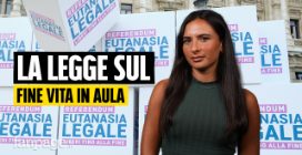 Cosa prevede la nuova legge sul fine vita arrivata in Parlamento e perché fa già discutere
