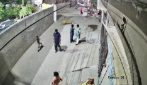 Leone attacca una donna in Pakistan