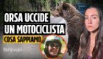 ORSA UCCIDE MOTOCICLISTA: COSA SAPPIAMO
