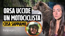 ORSA UCCIDE MOTOCICLISTA: COSA SAPPIAMO