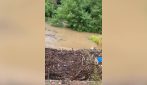 Il fiume Seveso esonda a Lentate, due famiglie evacuate in Brianza: "Non ne possiamo più"