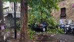 Strade allagate e alberi caduti a Firenze: "Massima attenzione vicino ai torrenti"