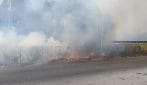 Incendio sulla Roma-Fiumicino, sterpaglie in fiamme in via Idrovore della Magliana
