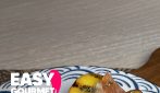 bruschette golosissime con pesche e prosciutto crudo