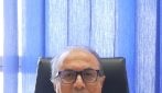 Ragno violino, il pediatra del Santobono: "Pulire bene il morso e tenerlo sotto controllo"