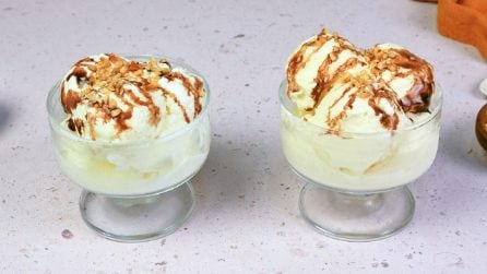 GELATO ALLO YOGURT: cremoso e semplicissimo da fare!