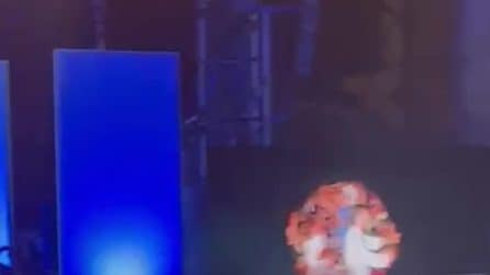 Stefano De Martino: "C'è Santiago in platea, gli asini mettono al mondo i cavalli da corsa"