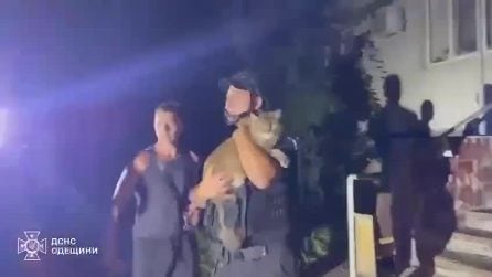 Guerra Ucraina, Mosca attacca: droni e missili su Kiev e Odessa