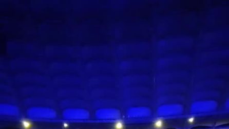 La proposta di matrimonio al concerto di Cesare Cremonini all'Olimpico di Roma commuove il parterre