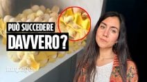 Compra 90 uova al supermercato e dopo due giorni trova 70 pulcini in cucina: è davvero possibile?