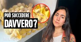 Compra 90 uova al supermercato e dopo due giorni trova 70 pulcini in cucina: è davvero possibile?
