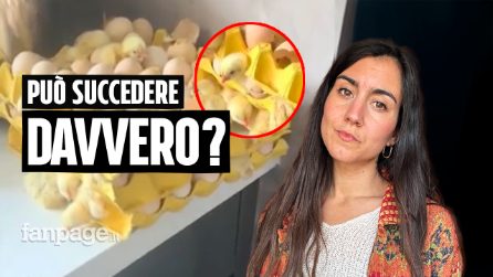 Può succedere davvero?