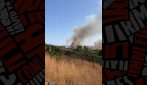 Vasto incendio nel Crotonese, i 245 sfollati dal villaggio a Cirò Marina