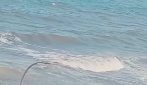Cinquantaquattro minori hanno raggiunto a nuoto l’enclave spagnola di Ceuta dal Marocco