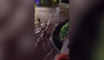 Tsunami alle Hawaii causa inondazione a Hilo