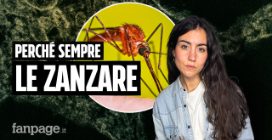 West Nile, Dengue, Chikungunya: perché e come le zanzare portano malattie tropicali anche in Italia