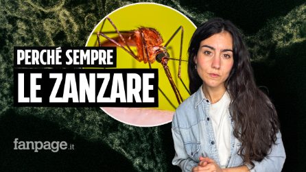 West Nile, Dengue, Chikungunya: perché e come le zanzare portano malattie tropicali anche in Italia